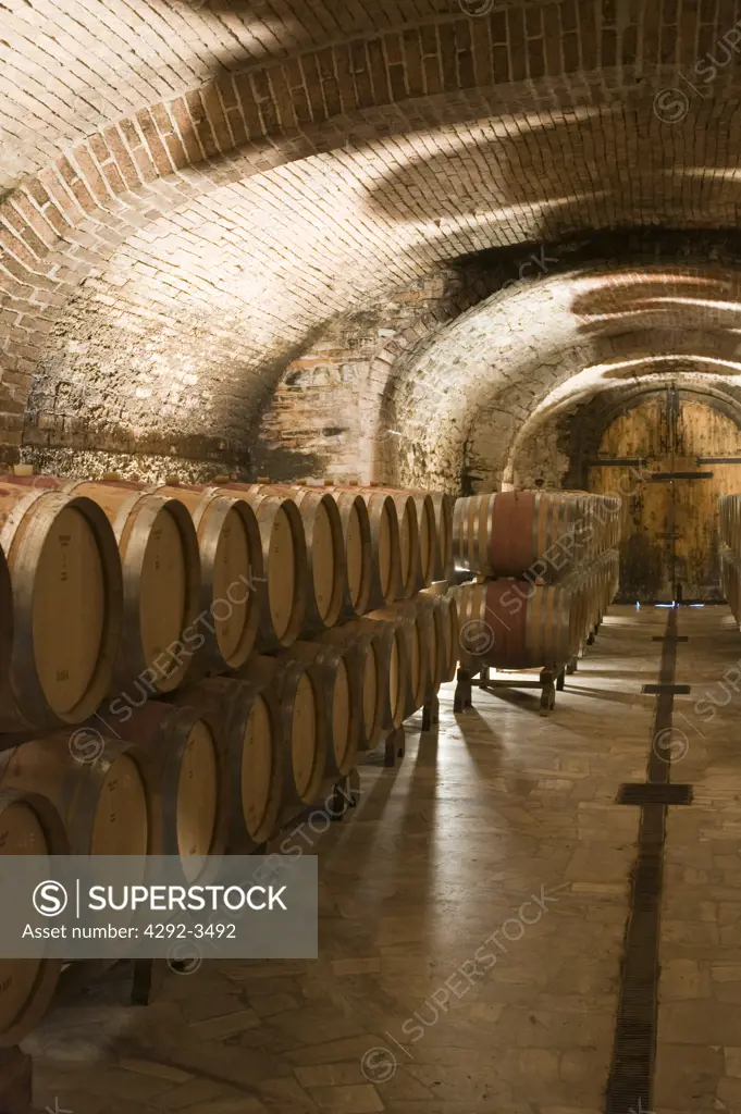 Italy, Tuscany, Castelnuovo Berardenga, Felsina winemaker thewine cellar