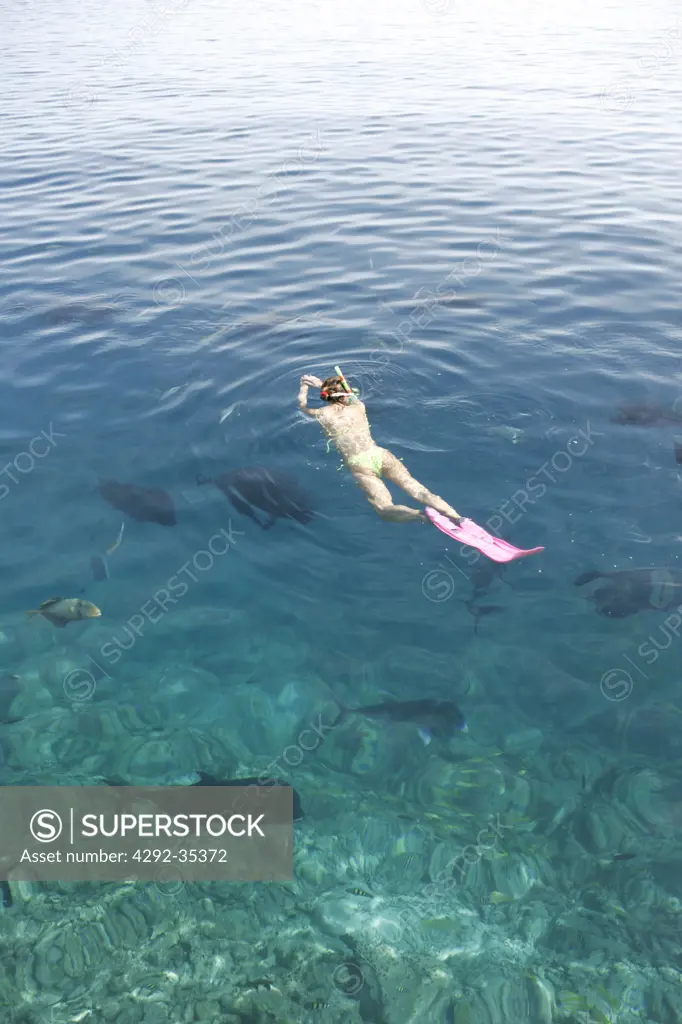 Asia, Maldives, woman snorkeling with shoal of fish