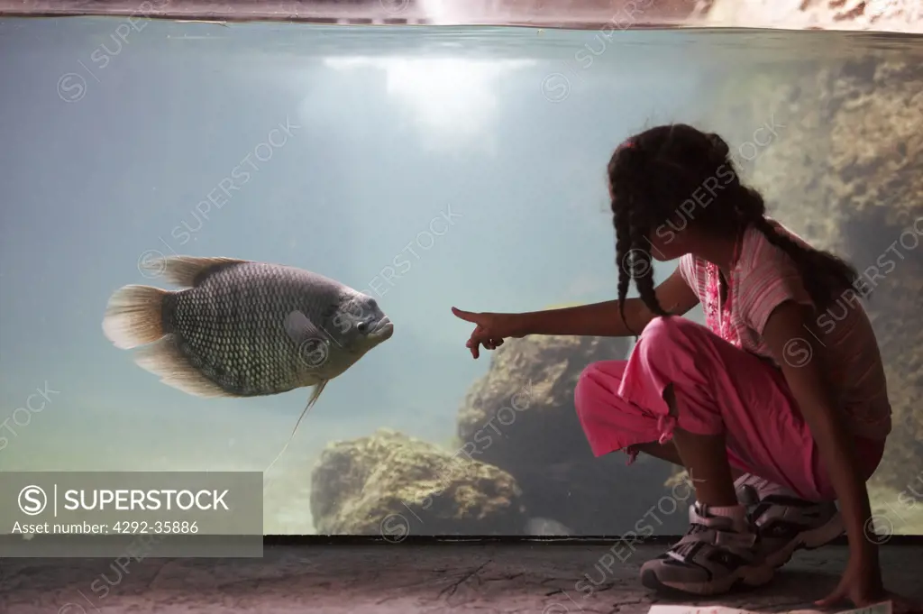 Girl looking at fish in aquarium