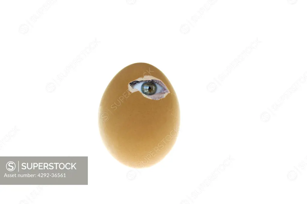 Human eye looking out of an egg