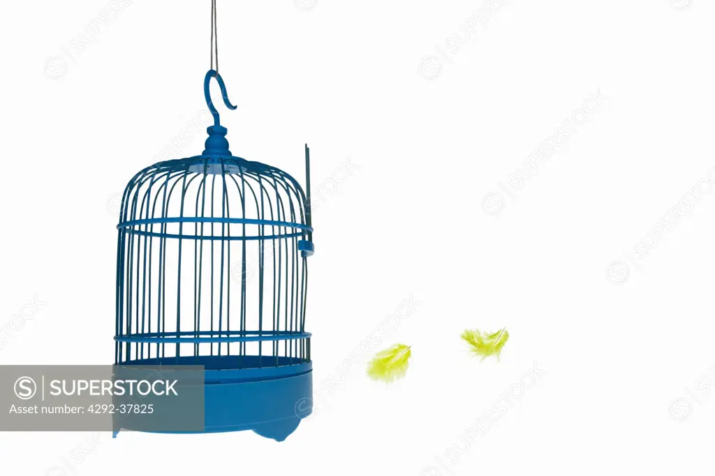 Two feathers close to an open cage
