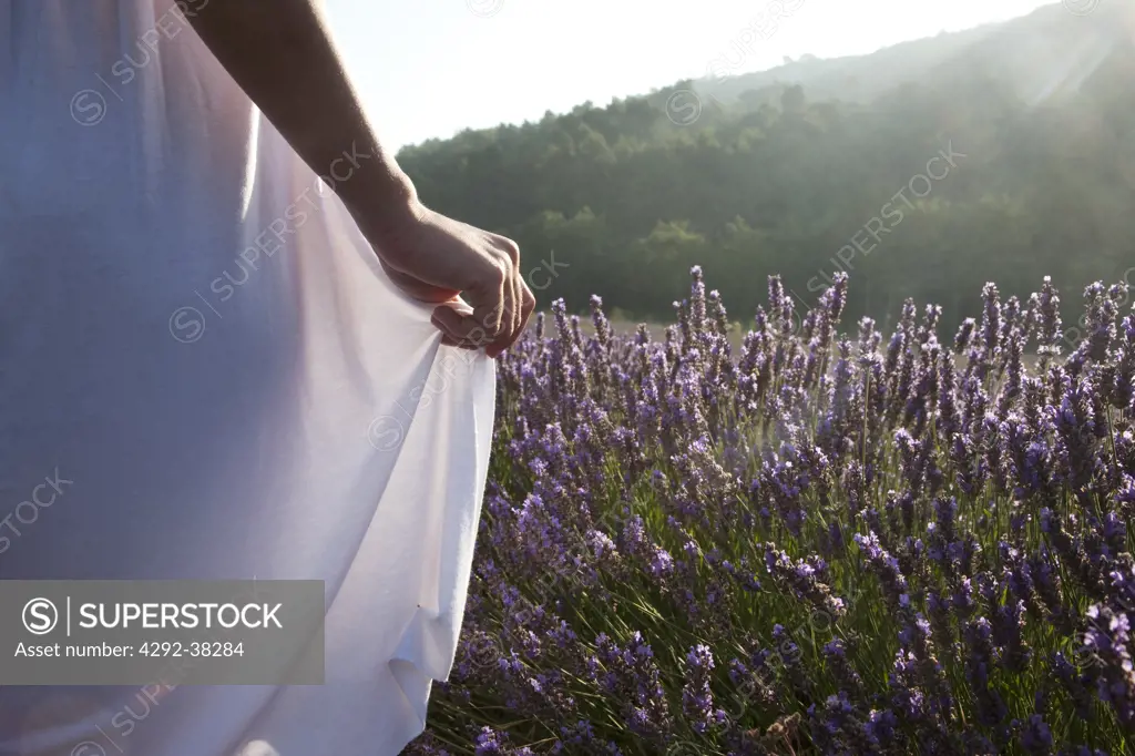 France, Provence. Woman in lavender field