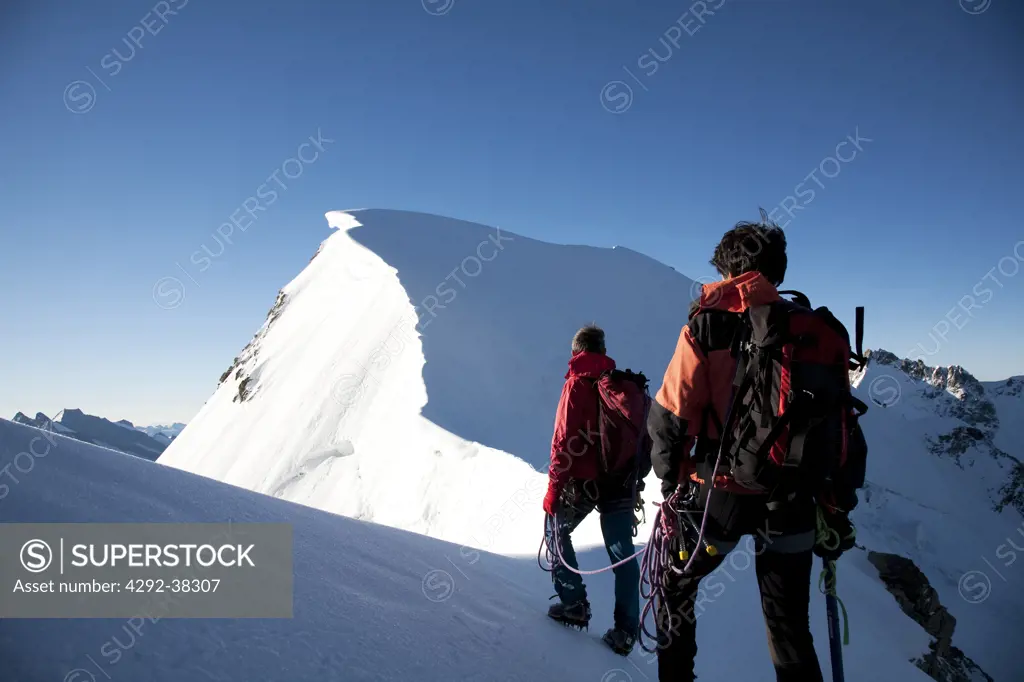 Switzerland, Jungfrau region: climbers ascending Jungfrau