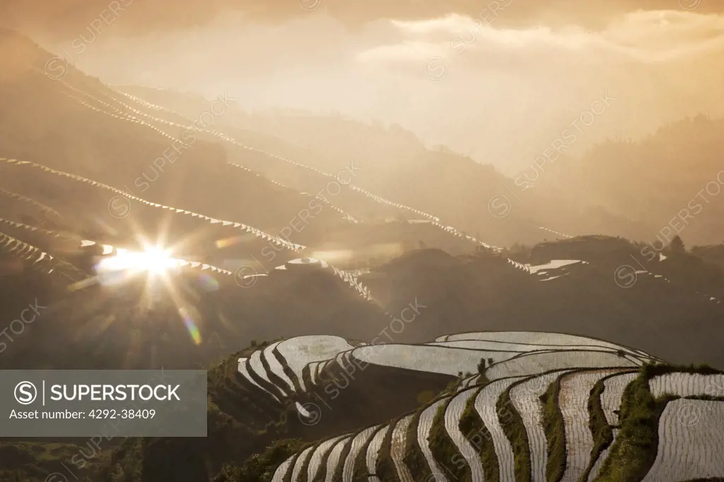 China, Guangxi Province, Guilin, Longsheng terraced ricefields