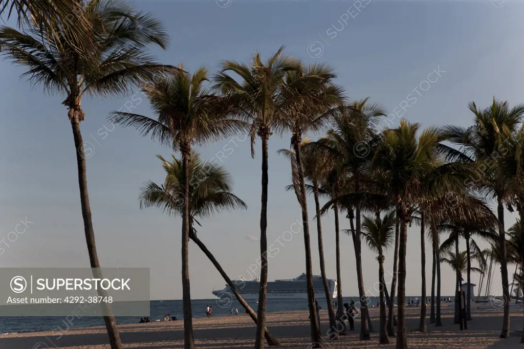 USA, Florida, Fort Lauderdale. beach, palm trees and promenade along ocean front in Fort Lauderdale