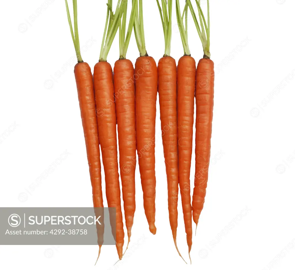 A bunch of fresh carrots