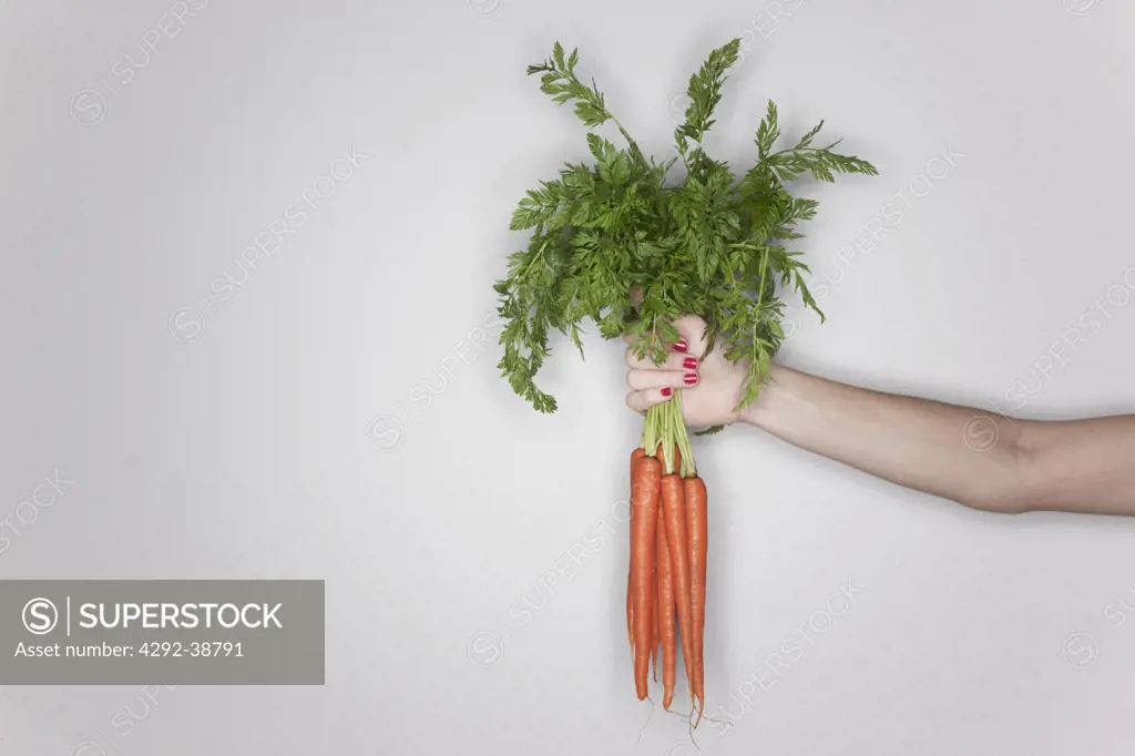 Hand holdind a bunch of fresh carrots