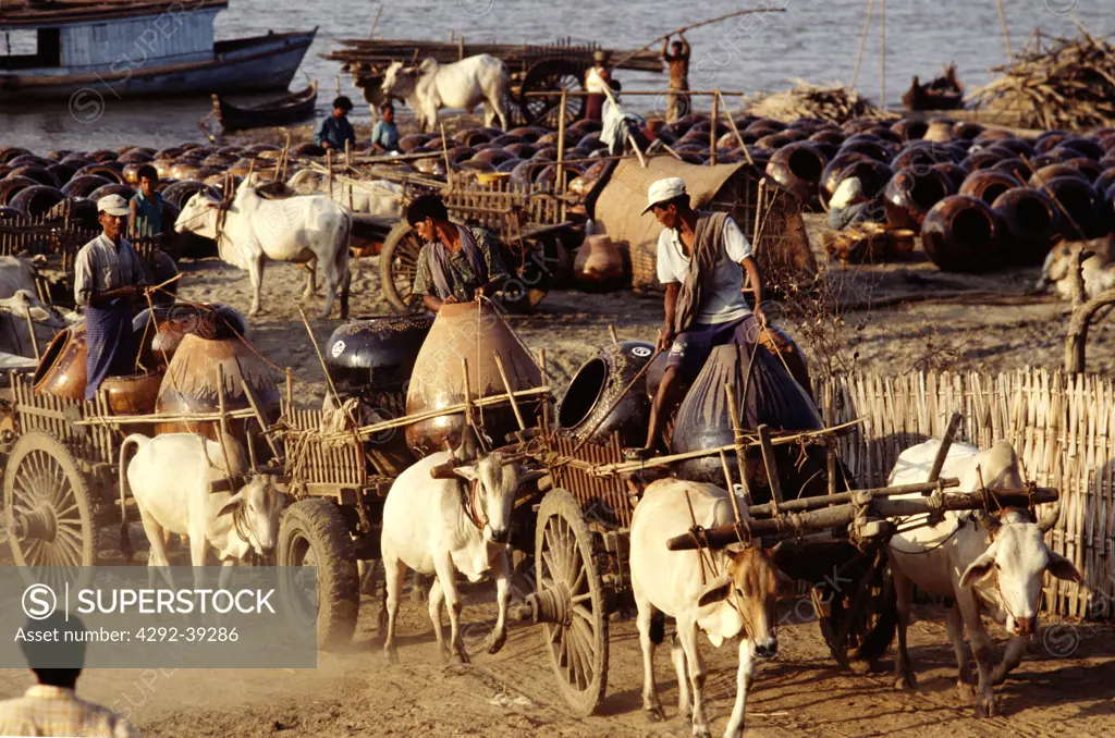 Ox carts carrying Jars. Bagan, Myanmar (Burma)