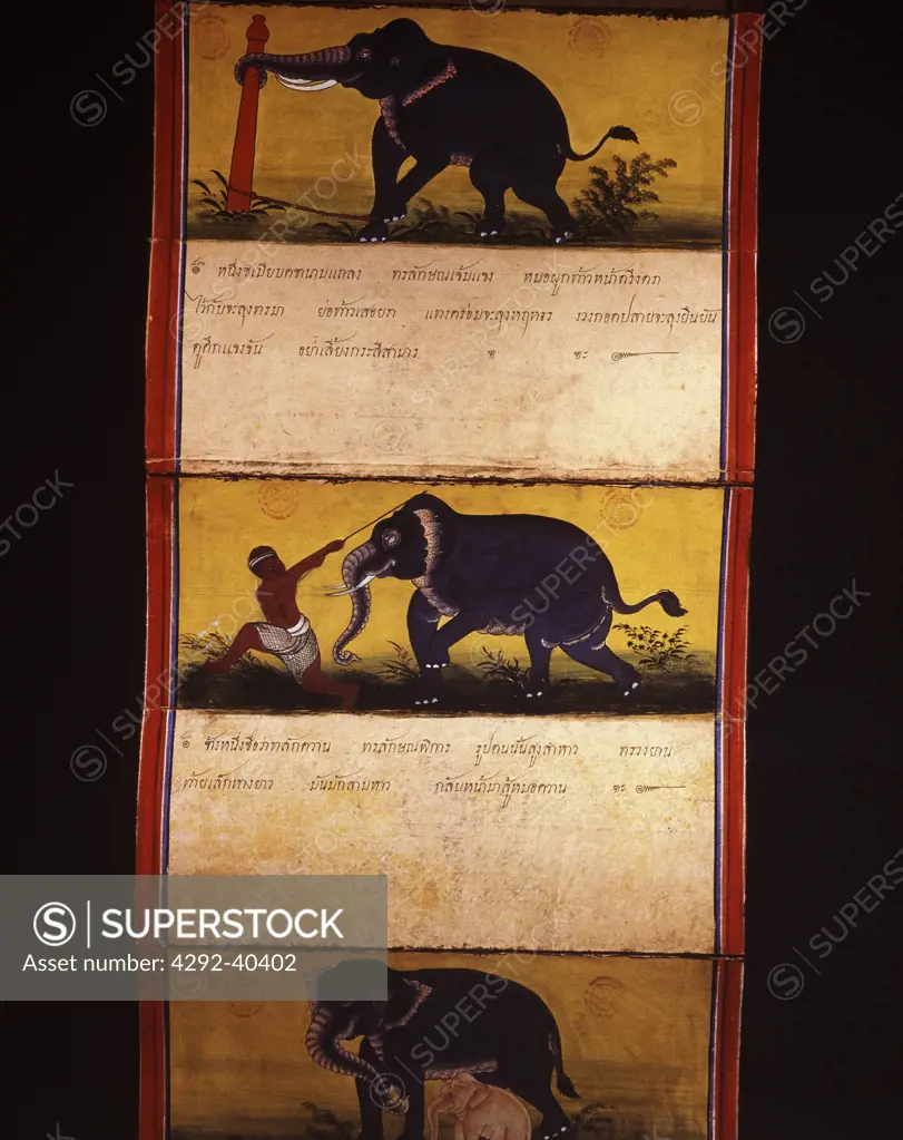 Pages of a manuscript on elephants,Thailand.