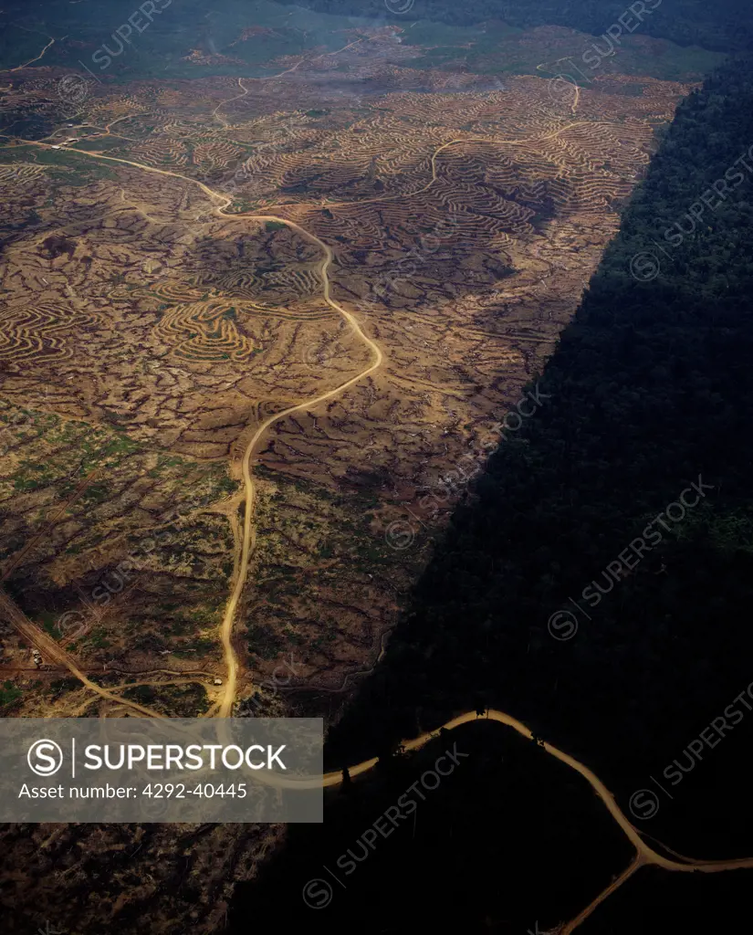 Indonesia, Borneo. Deforestation
