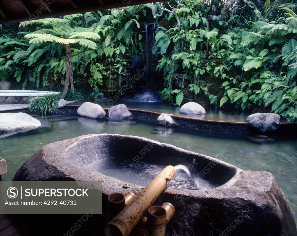 Indonesia, Bali, Ubud, Begawan Giri Resort, bathtub carved out of stone,