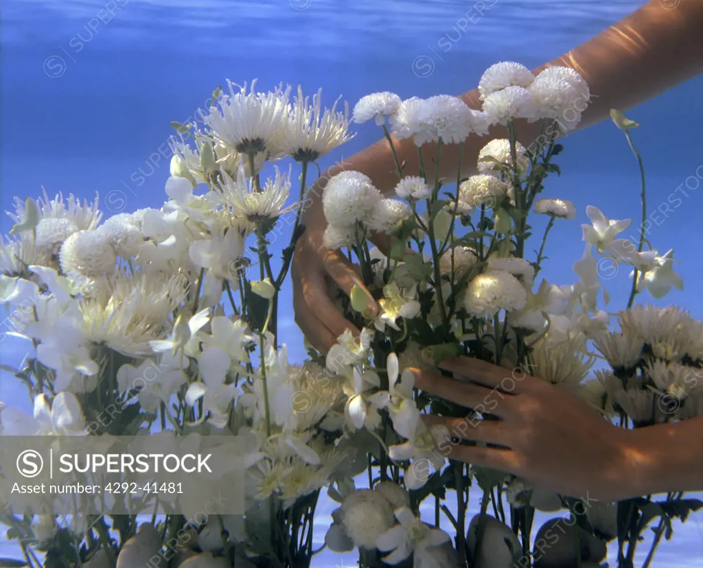 Flowers underwater