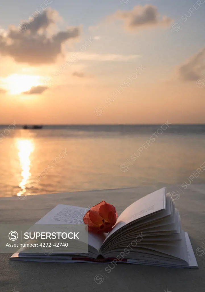 Book on the beach in Maldives