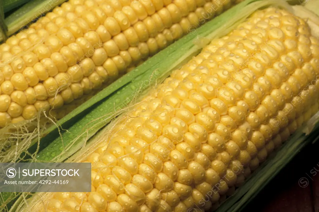 Corn on cob