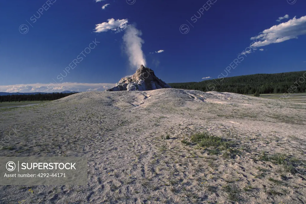 USA,Wyoming,Yellowstone.Lower Geyser Basin.White Dome Geyser