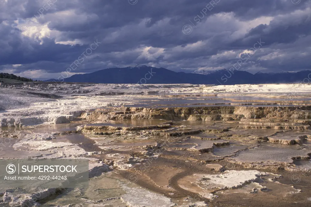 USA, Wyoming, Yellowstone Nat. Park. Mammoth Hot Springs