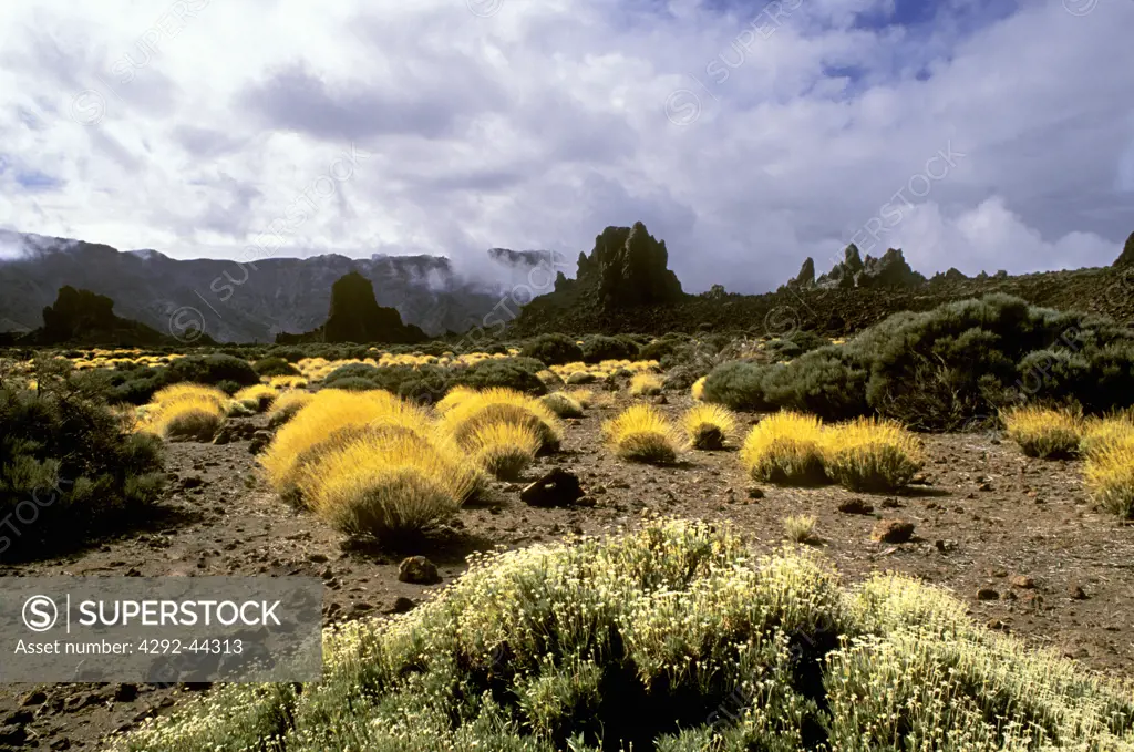 Spain, Canary Islands, El Teide, landscape