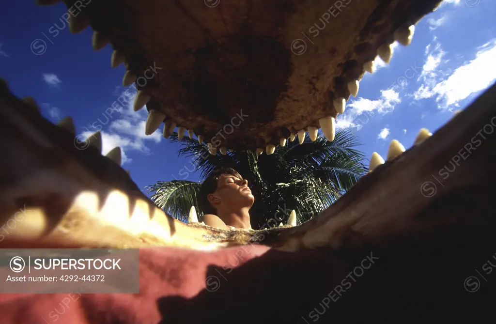 From inside an alligator mouth,Florida, USA
