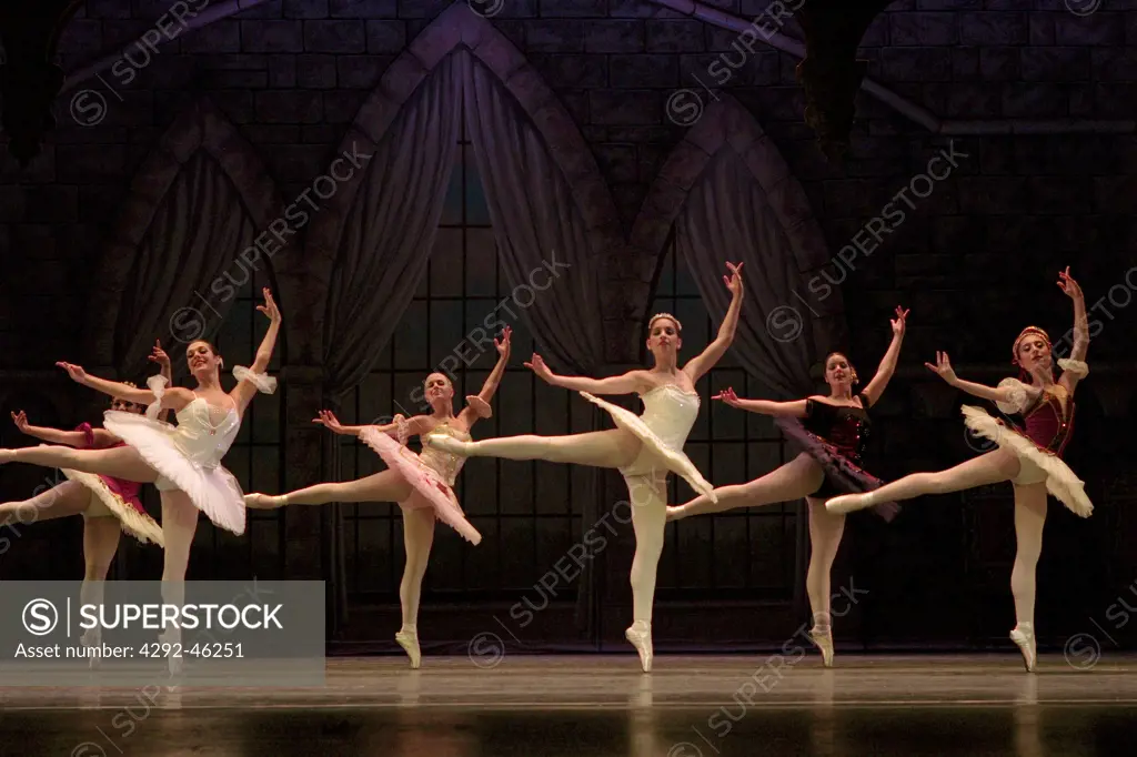 Ballet Performance
