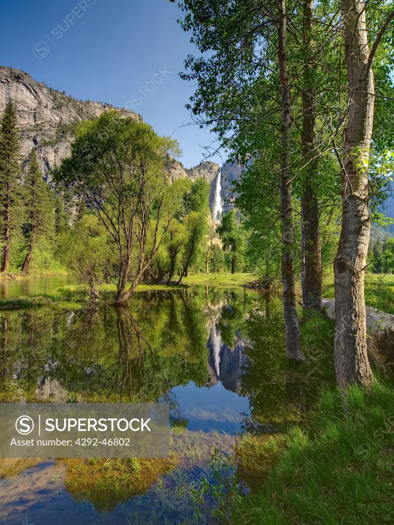 USA, California, Yosemite National Park, Yosemite Falls,