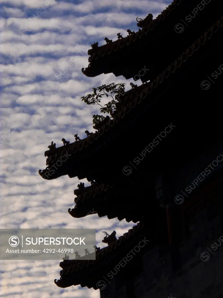 China, Beijing, Forbidden City, Roof detail