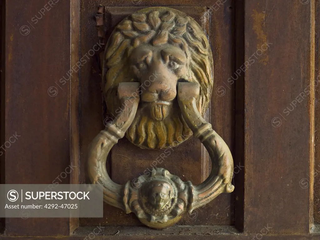 Front Door Lion Knocker