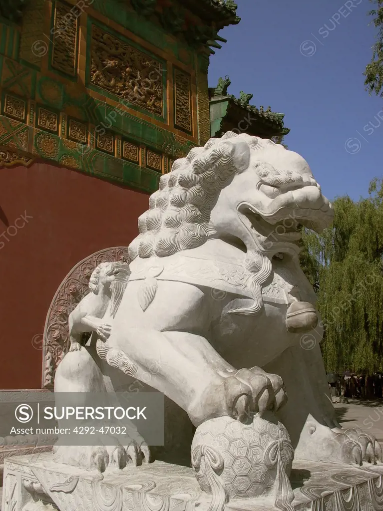 Male Lion, Beihai Park, Beijing. P.R. of China