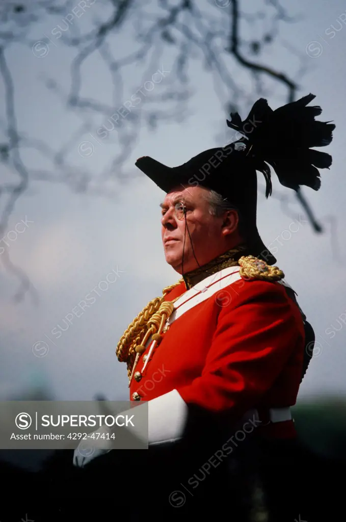 Royal horse guard, London, England, UK
