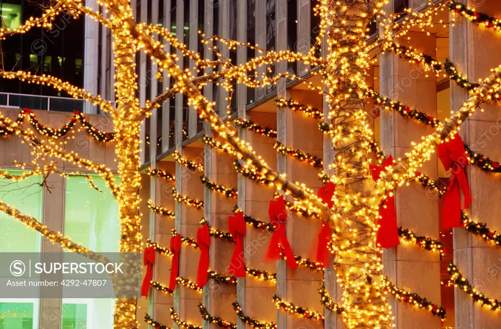 USA, New York City, Exxon Building, Christmas trees