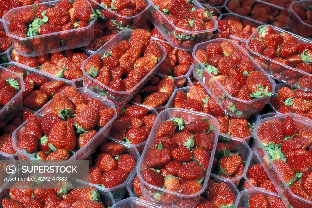Sweden, Stockholm: strawberries at market
