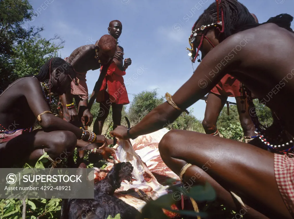 Africa, Kenya, Masai tribe, morani(warrior) ceremony