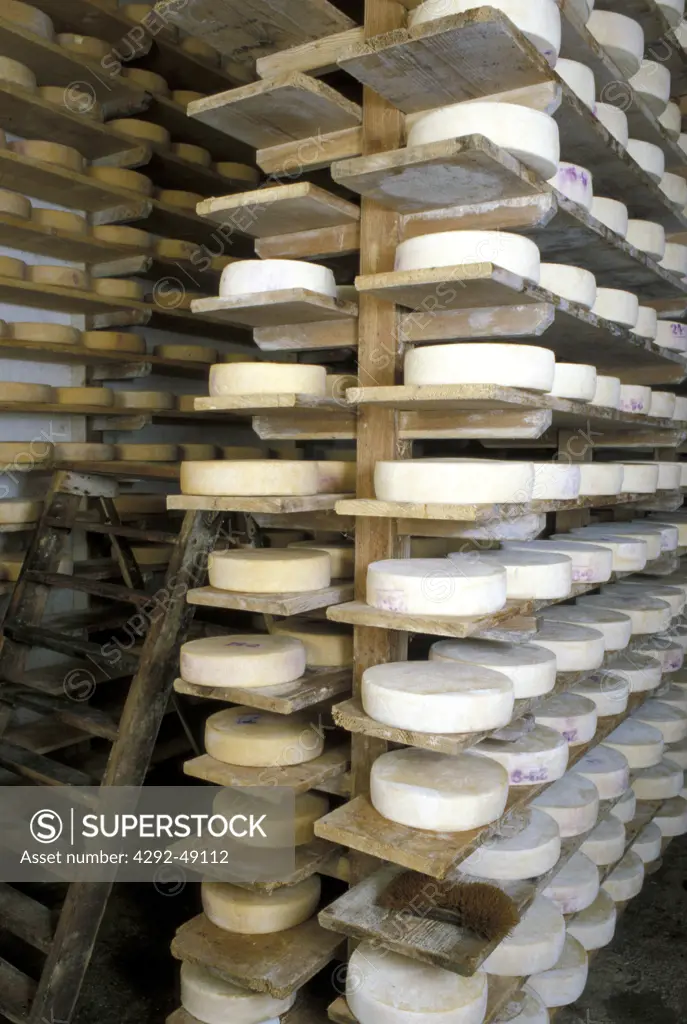 Cheese seasoning