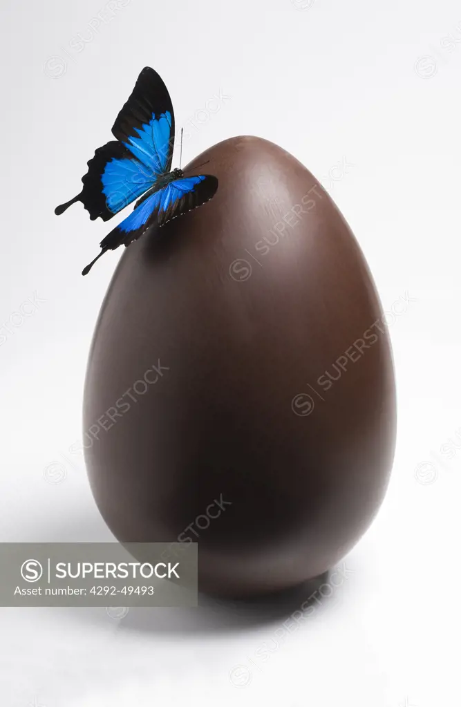 Butterfly on Easter chocolate egg