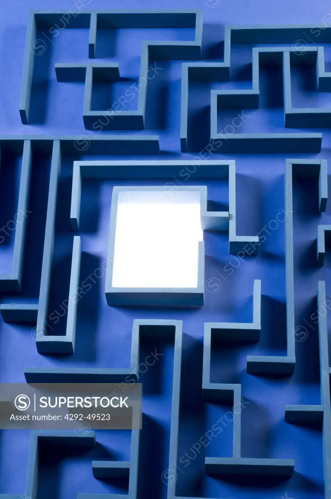 Close-up of  maze