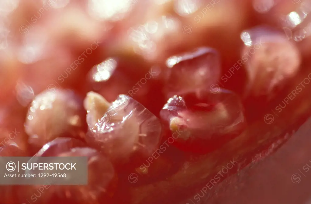 pomegranate close up