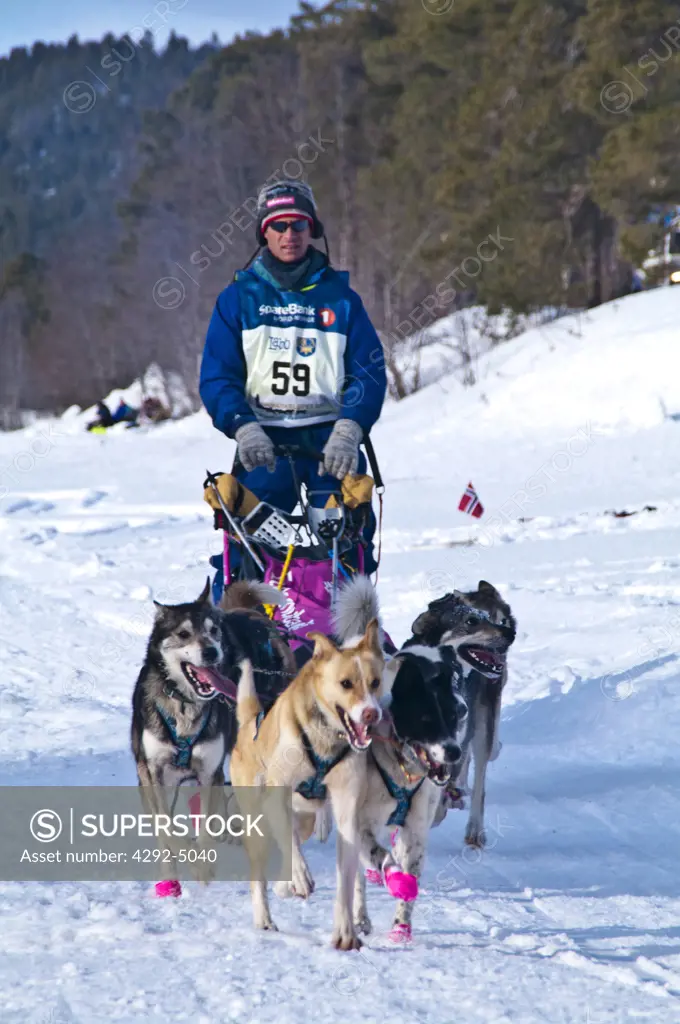 Norway, Finnmarkslopet dog race
