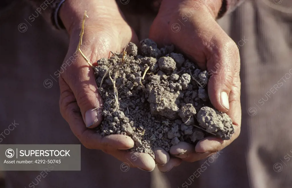Farmer holding earth in hands