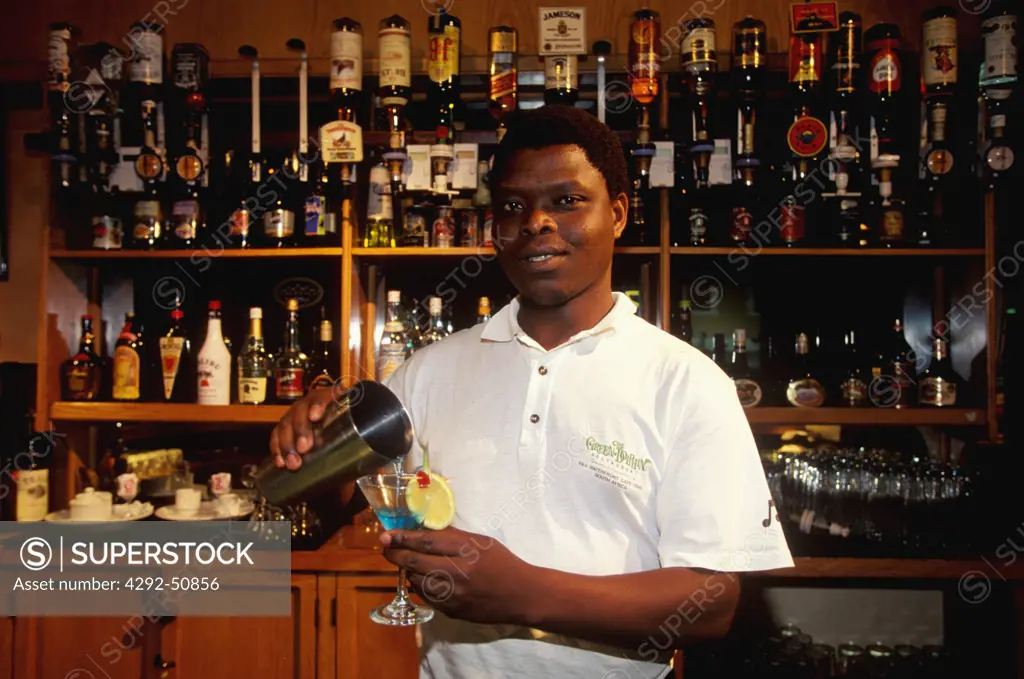 South Africa, Cape Town. Barman mixing drink