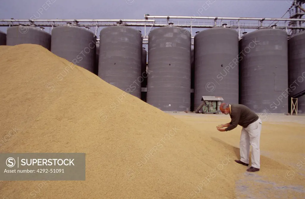 Spain, Andalusia, Donana, Farmer checking rice harvest at silo(no property release)