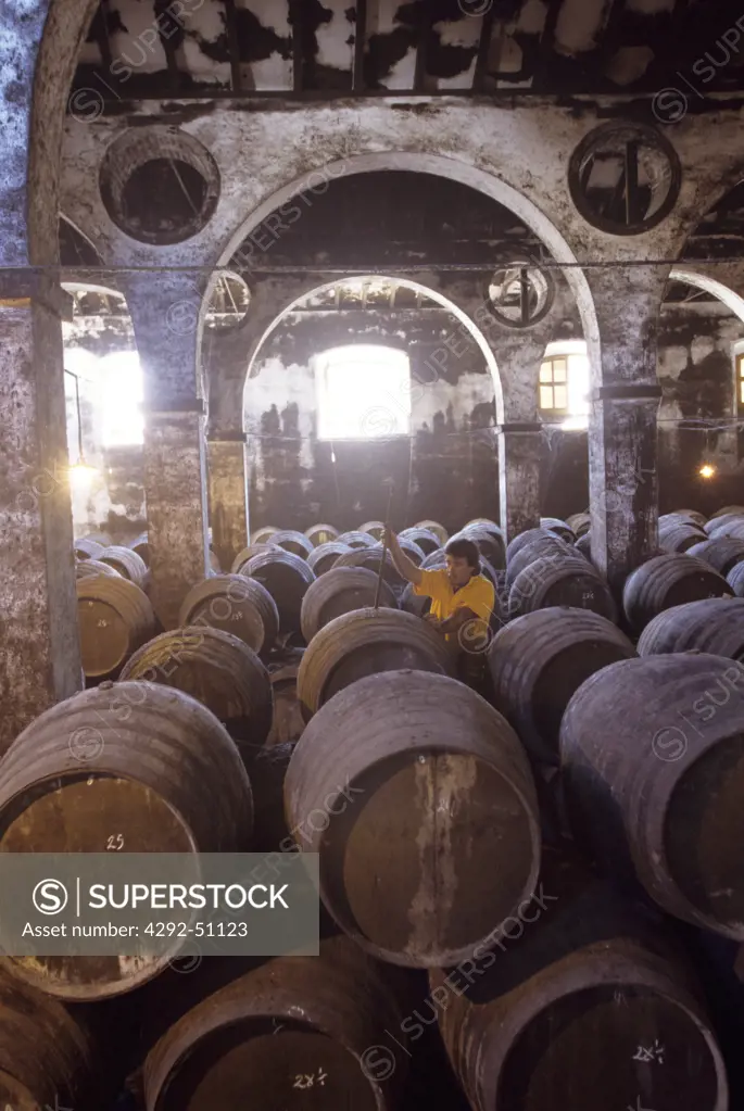 Winemaker in maturing cellar of Bodega (winery), Andalusia, Sanlucar de Barrameda, Spain