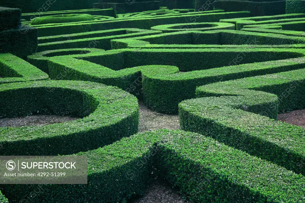 Italy, Lazio, Bagnaia gardens the maze