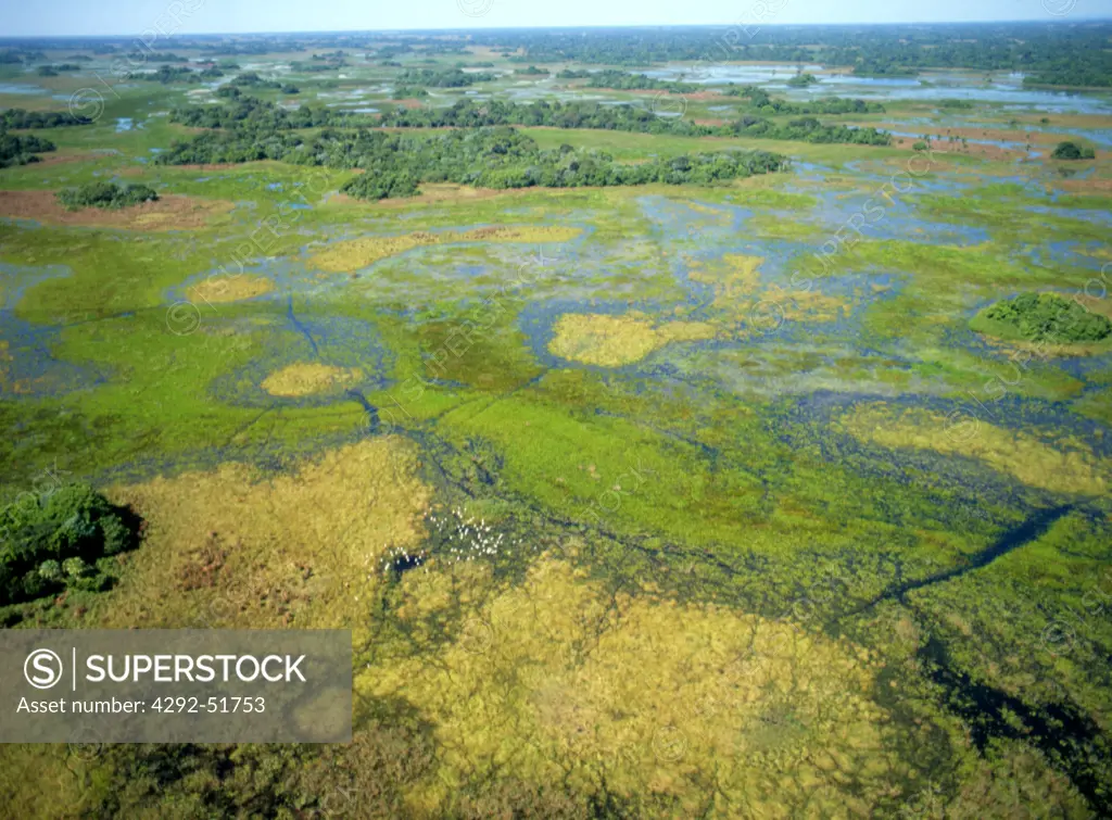 Pantanal national park, aerial, Mato Grosso State, Brazil