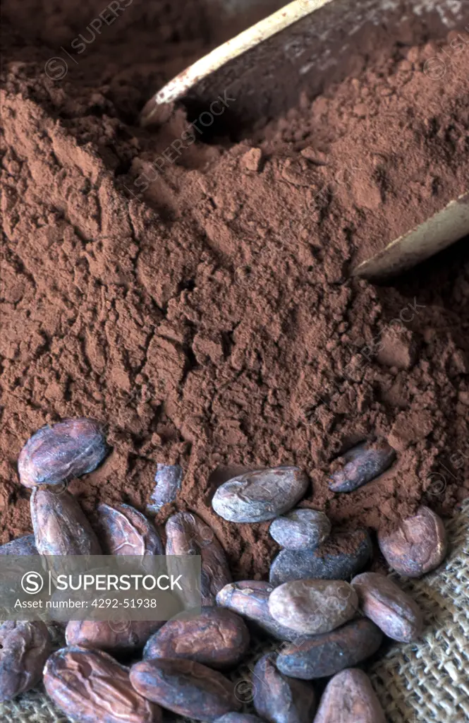 Cacao seeds and powder
