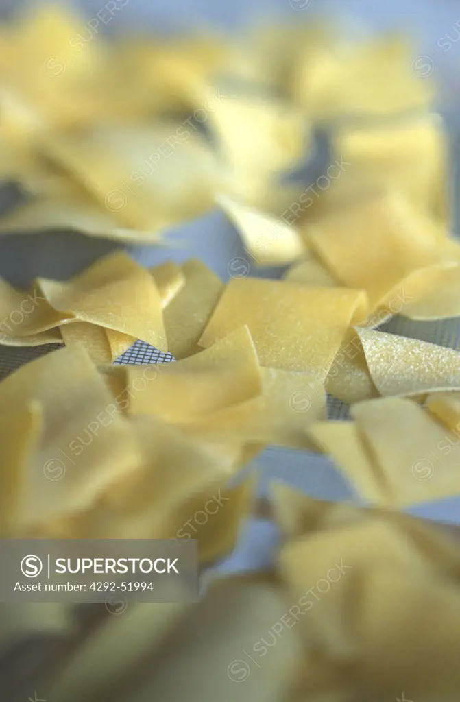 hand-made egg pasta