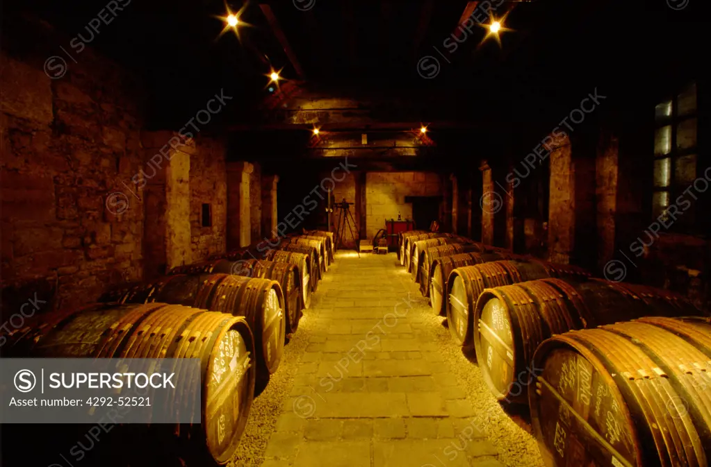 France, Charente, Jamac, barrels in the caves of Hine Maison