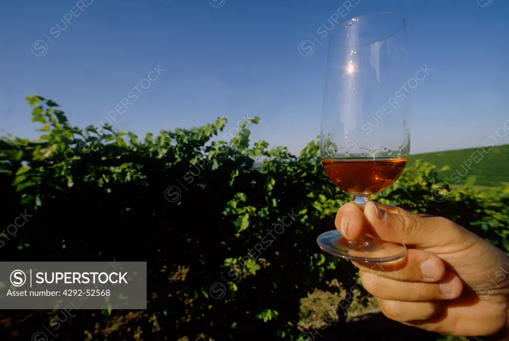 France, glass of cognac