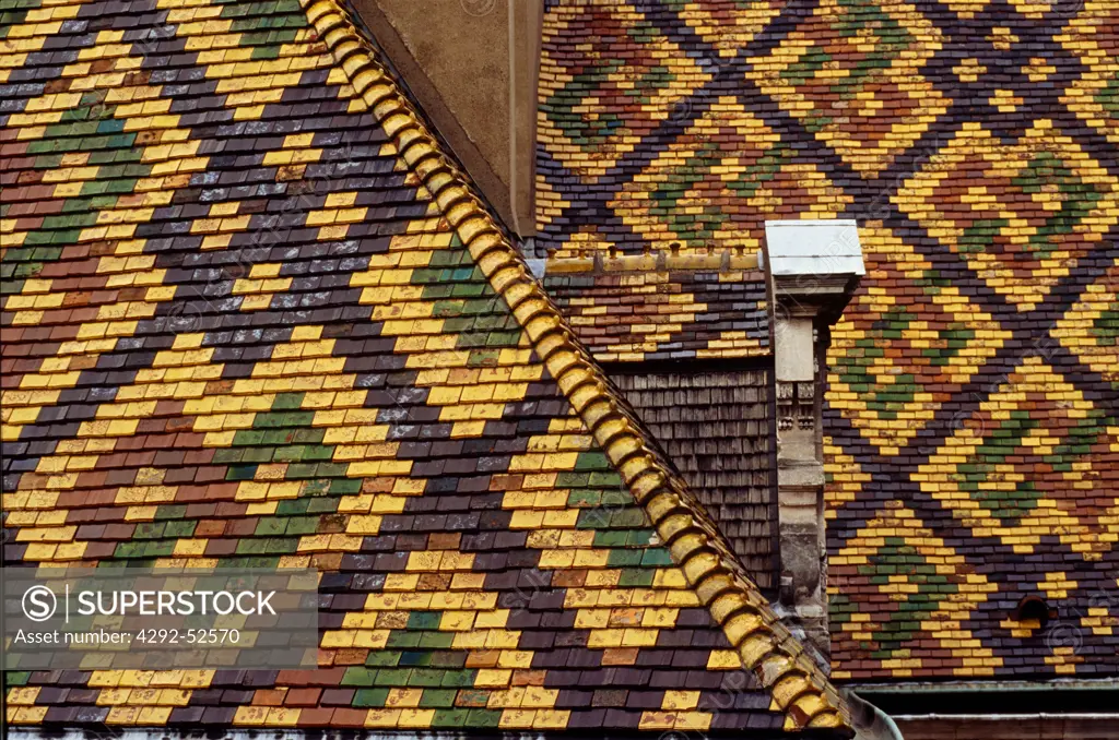 France, Burgundy, Dijon, detail of Vogue building roof
