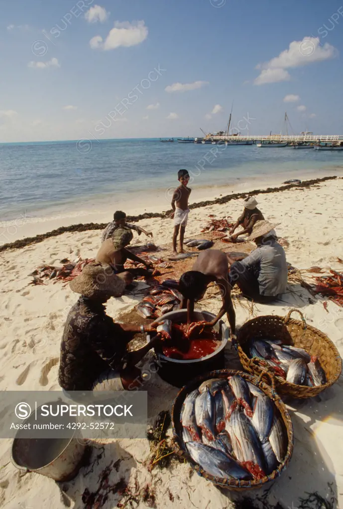 India, Lakshadweep,islands, fishermen on beach