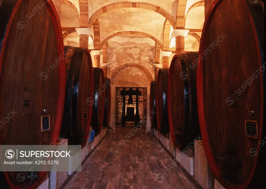 Italy, Tuscany, Chianti, the cellar of Felsina winemaker