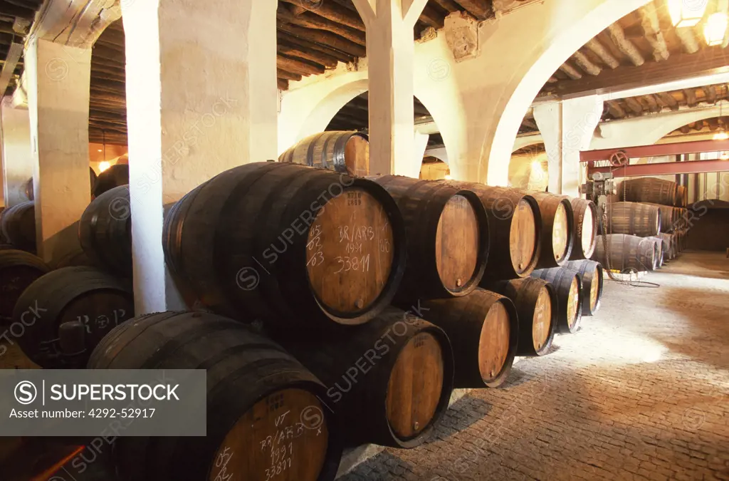 Portugal, Douro, port wine ageing in barrels in the Ramos Pinto estate
